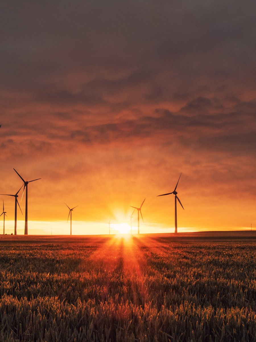 Power transmission infrastructure at sunset